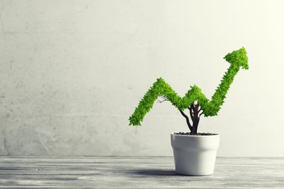GK atrai executivos do CVC Capital