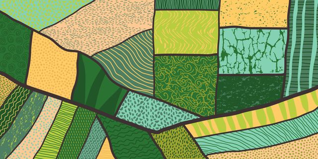 O valor da terra: um novo livro sobre o mais antigo ativo financeiro
