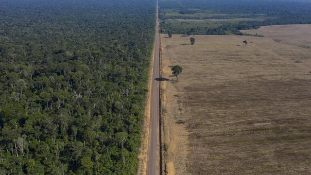 A Carbonext ajuda empresas a neutralizar seu carbono — em pleno boom do ESG