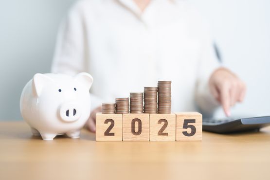 Onde investir em 2025? A Bradesco Asset responde