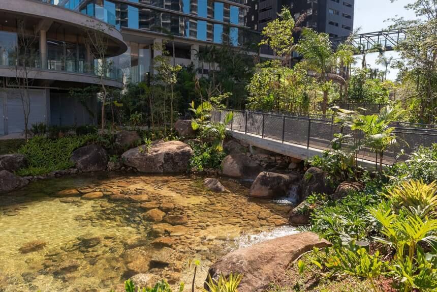 Como o paisagismo pode recriar um rio da Mata Atlântica em São Paulo