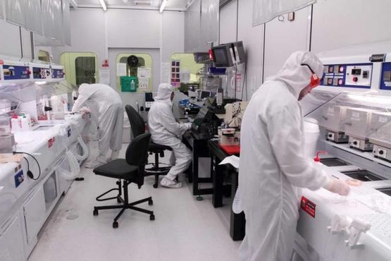 Ao vencedor, as patentes: lições do Instituto Weizmann para o Brasil