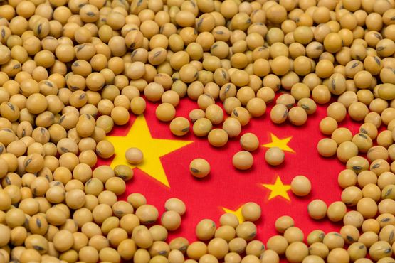 A China é a fábrica do mundo. Agora quer ser também a fazenda