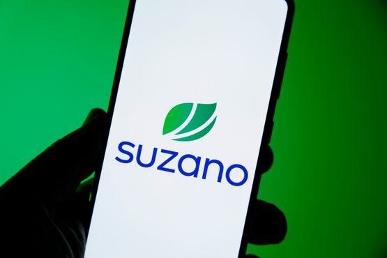 Suzano contrata CEO da Rumo para sucessão de Schalka