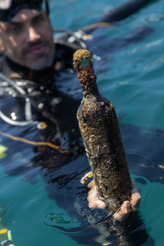Vinhos do mar, a paixão do momento entre os enófilos