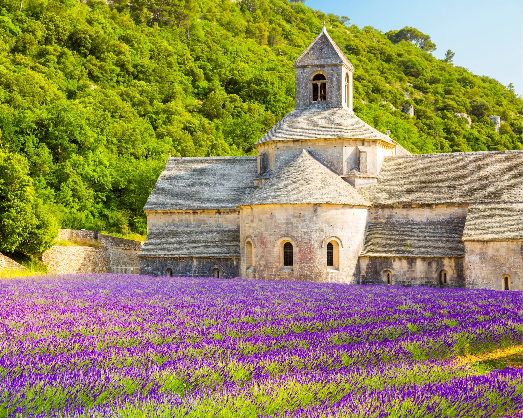 Três dias perfeitos nos lavandários da Provence
