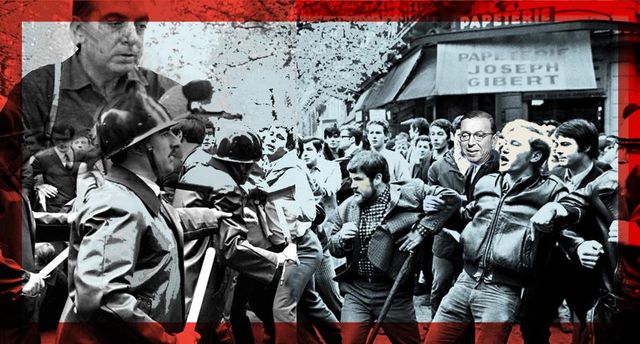 O óbvio ululante e a ascensão dos idiotas