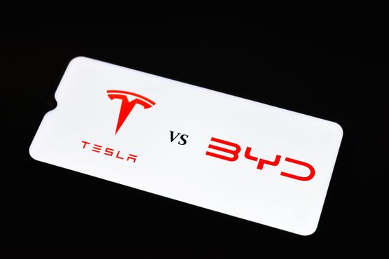 BYD encosta na Tesla. Musk pede socorro