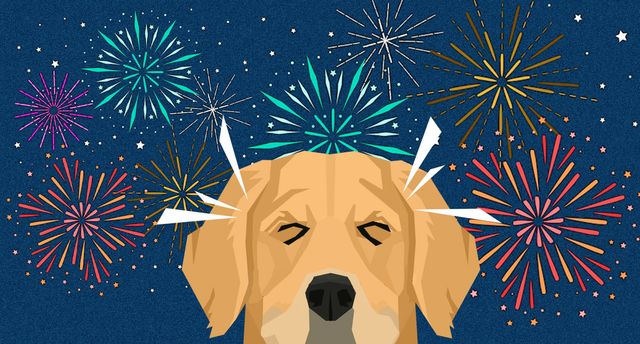 Quando a festa vira medo: como preparar seu pet neste fim de ano