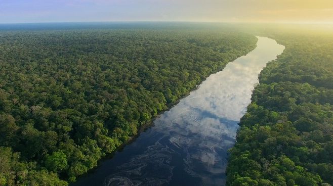 Enfim, o protagonismo ambiental do Brasil