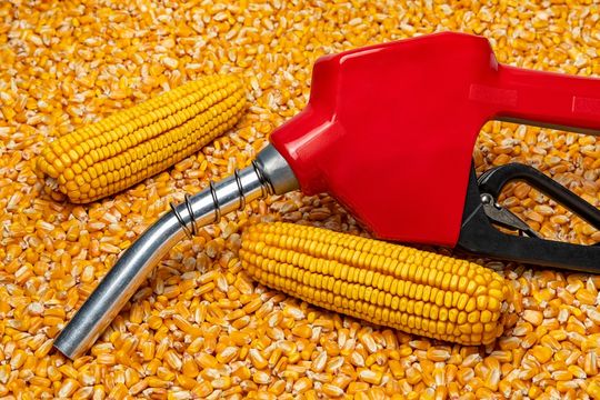 Inpasa, gigante do biocombustível, monta posição na Vibra