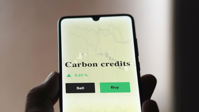 Minerva vende 280 mil toneladas de crédito de carbono para empresas árabes