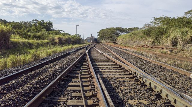 Ferrogrão: TCU, STF, MPF e ONGs mantêm projeto parado