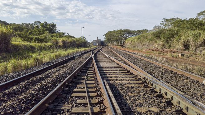 Ferrogrão: TCU, STF, MPF e ONGs mantêm projeto parado