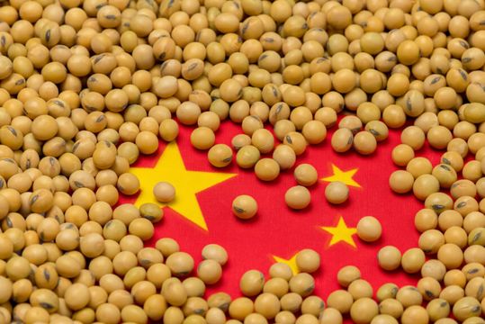 China investe para produzir alimentos; Brasil vai sofrer?