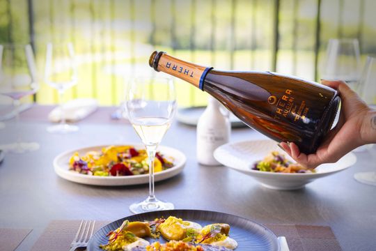Como os vinhos da Thera mudaram minha cabeça sobre a Serra Catarinense