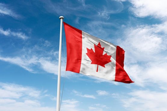 Trump faz a esquerda canadense ‘cool again’. Mark Carney agradece