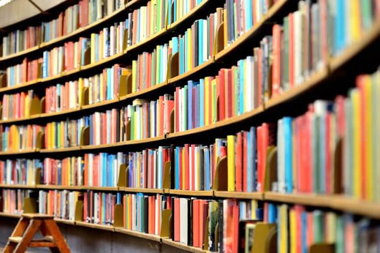 Livros: modo de usar. 10 recomendações de um renascentista moderno