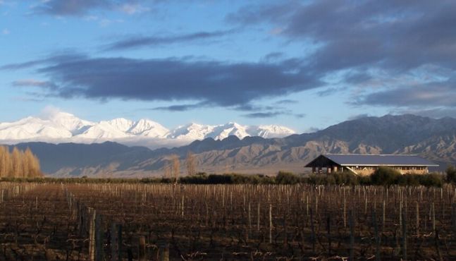 A Argentina além do Malbec