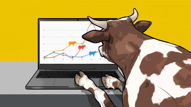 A Erural botou o leilão de gado na era digital (mas manteve o pé na lama)