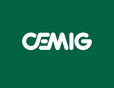 O novo conselho da Cemig