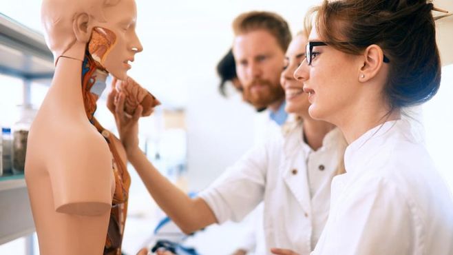 Quer estudar medicina? Esses caras querem bancar