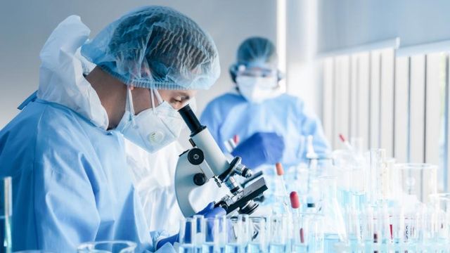 Agora vai? As três verticais de crescimento da Alliar
