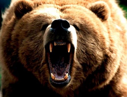A aposta do Bridgewater contra as bolsas globais
