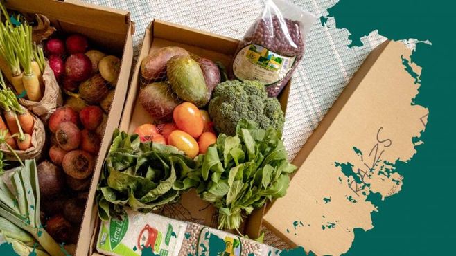 A Raízs barateou os orgânicos. Com essa rodada, ela quer ir além do legumes