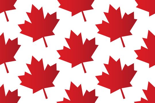 Candidata canadense: ‘Temos alavancagem contra você, Donald’