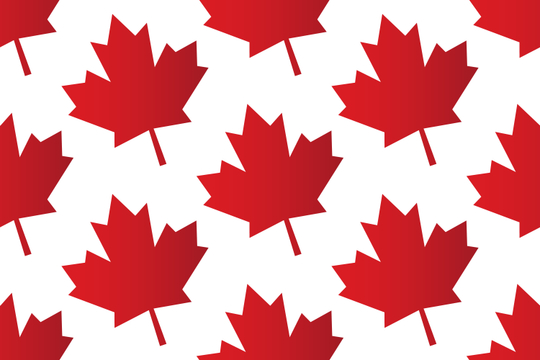 Candidata canadense: ‘Temos alavancagem contra você, Donald’