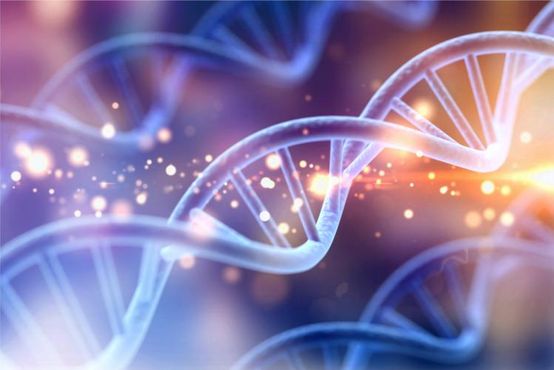 DNA humano: a nova aposta do Blackstone