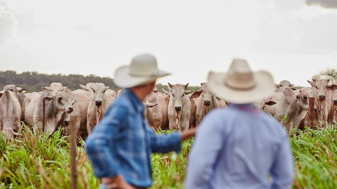 A agenda sustentável da Minerva Foods