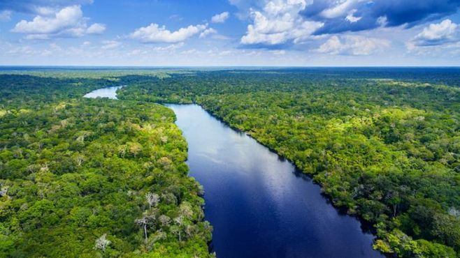 Como sair da crise? Tornar o Brasil uma potência ambiental. Este livro mostra como