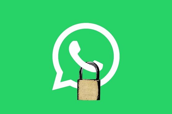 Os Whatsapps em Wall Street agora têm um vigia: o Movius