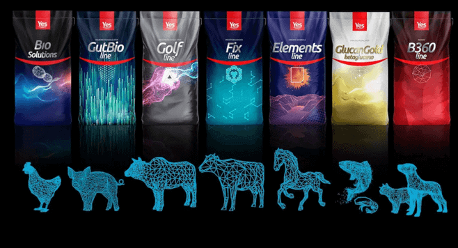 Nutrição animal: grupo francês deve comprar a YesSinergy