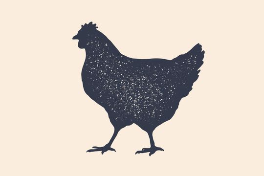 Luz amarela nos frigoríficos de frango