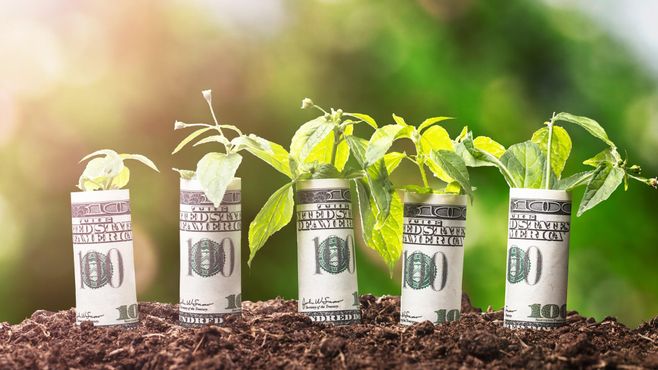 XP faz o maior evento sobre ESG do Brasil; saiba como participar