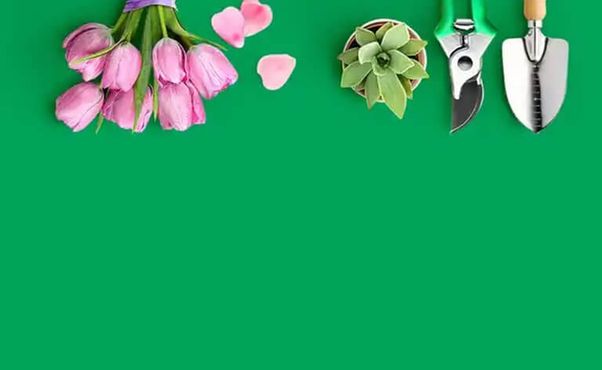 Mesmo na Faria Lima, o amor resiste