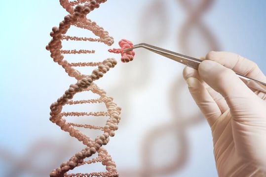 A biotech que atraiu a Pfizer com a promessa da cura do câncer