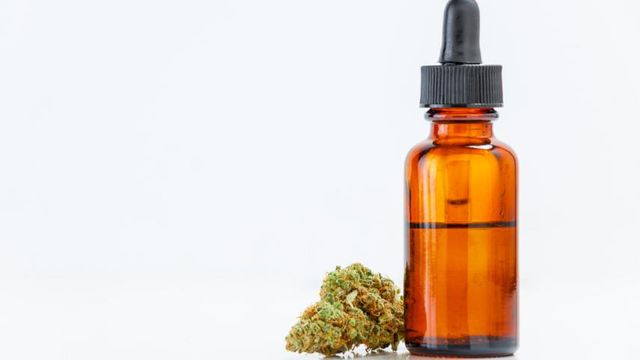 A fala tocante de um deputado a favor da cannabis medicinal