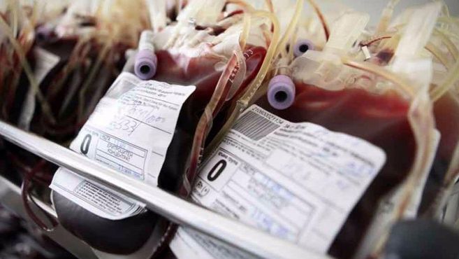 No Sírio, a tecnologia do sangue bom