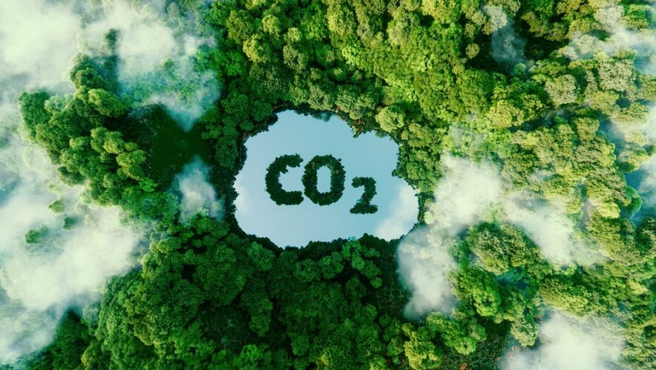 Tudo sobre o mercado de carbono (que ainda está sendo criado)