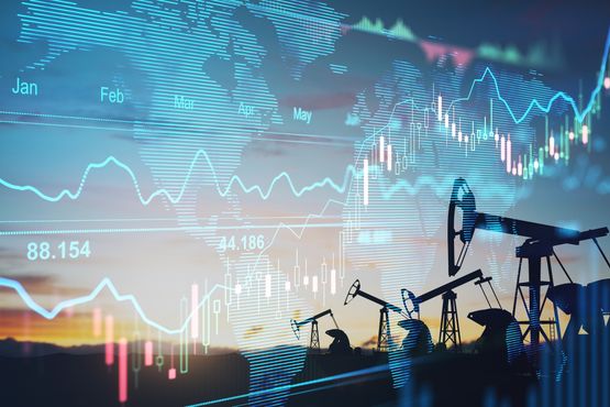 Petrobras, Cosan, Compass: as favoritas do Bradesco para um Governo Flávio