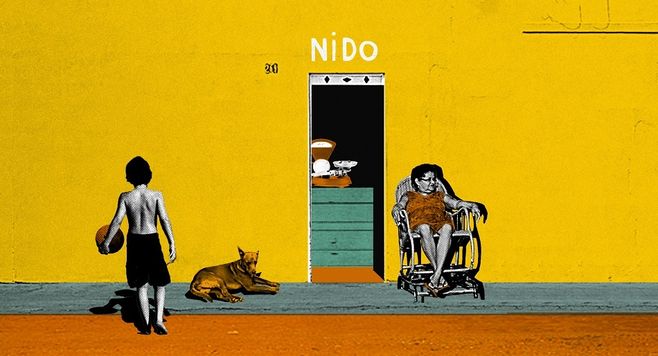 Nidovando Pinheiro começou na roça. Hoje fatura R$ 200 milhões