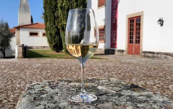 Dão: a nova vida dos ‘borgonhas de Portugal’