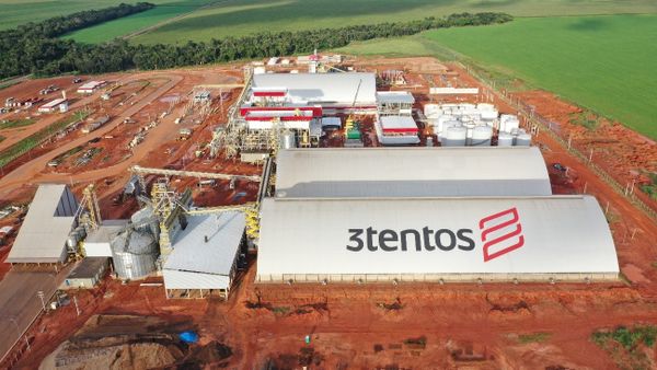 O tombo de 16% da 3tentos, após reunião com o sellside