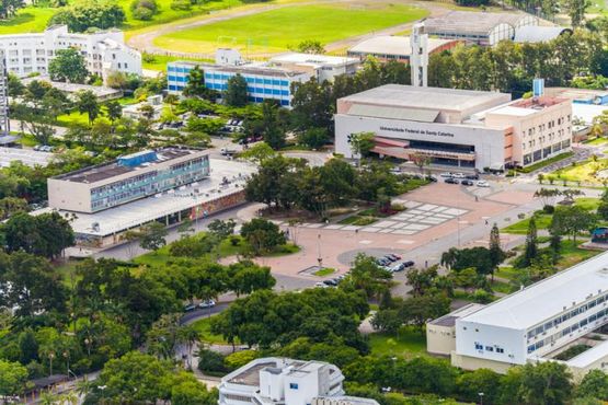 Pouco a pouco, os endowments estão brotando no Brasil
