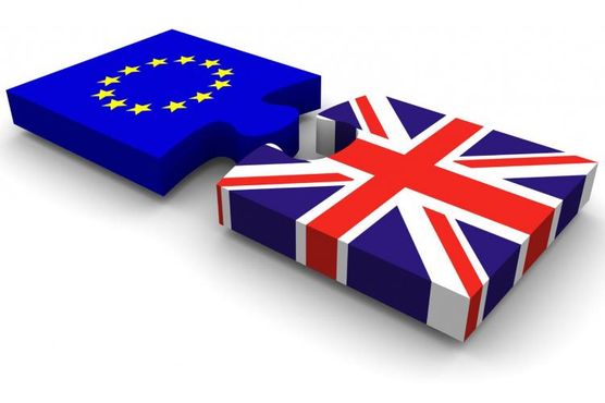 'Brexit' no more: Keep calm, mourn, and stay in the EU