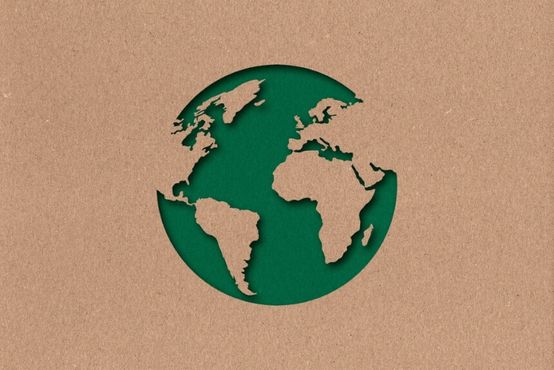 Em manifesto, empresários cobram mais coordenação na agenda verde